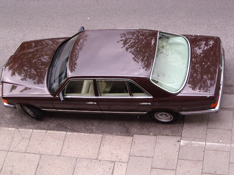 Datei:479 Moorbraun.jpg