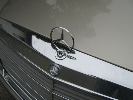 Mercedes Stern auf einer regennassen Motorhaube in