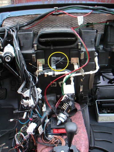 Position Birnchen Lichtleiter.JPG