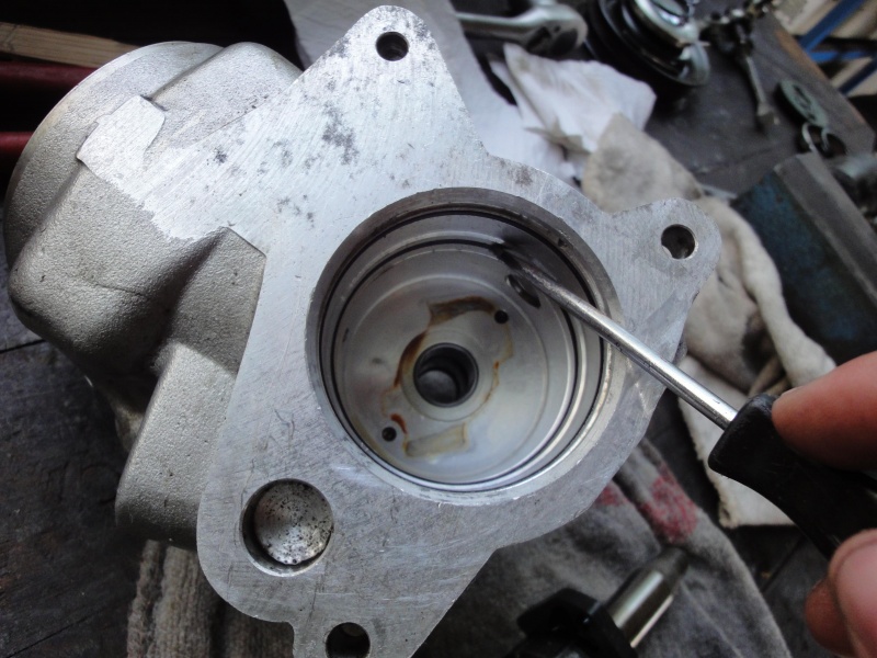 Datei:19 Innere Dichtringe raus.JPG