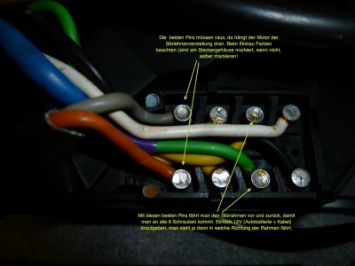 Stecker Sitz unten.jpg